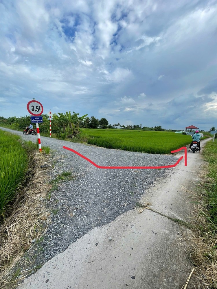 ĐẤT ĐẸP – GIÁ TỐT  – CHÍNH CHỦ BÁN Tại  Ấp Thạnh Phong, Xã Yên Luông, Gò Công Tây, Tiền Giang ĐẤT ĐẸP – GIÁ TỐT  – CHÍNH CHỦ BÁN Tại  Ấp Thạnh Phong, Xã Yên Luông, Gò Công Tây, Tiền Giang