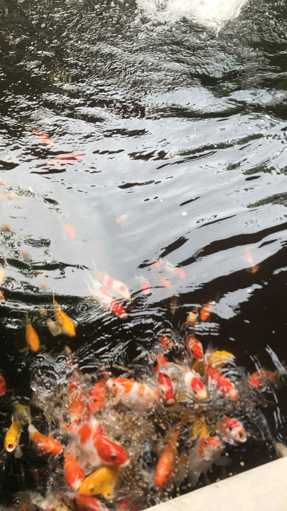 Bán Nhà Diên Toàn-Diên Khánh
-DT: 188m2 ngang 8m nở hậu
-Hướng Bắc
-Hiện trạng đường 6m ô tô né Bán Nhà Diên Toàn-Diên Khánh
-DT: 188m2 ngang 8m nở hậu
-Hướng Bắc
-Hiện trạng đường 6m ô tô né