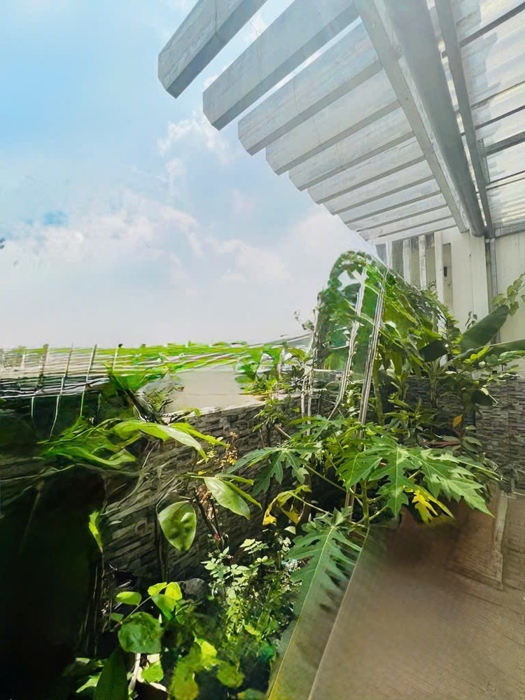 TÂN BÌNH – CĂN HỘ DỊCH VỤ 15 PHÒNG – TRƯỜNG CHINH – HXH 5M – 80M² – 5 TẦNG TÂN BÌNH – CĂN HỘ DỊCH VỤ 15 PHÒNG – TRƯỜNG CHINH – HXH 5M – 80M² – 5 TẦNG