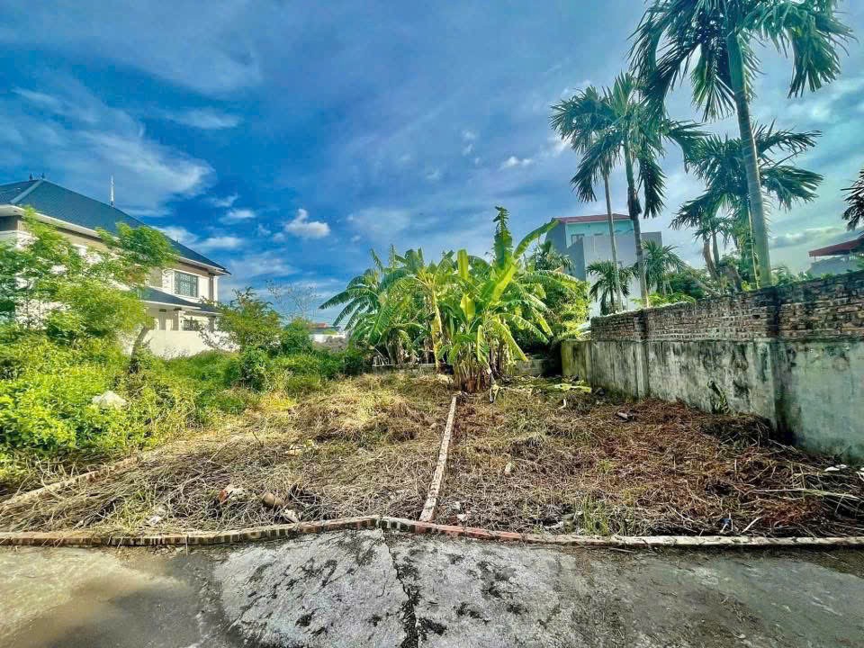 CHÍNH CHỦ GỬI BÁN 2 LÔ ĐẤT LIỀN KỀ – VÙNG LÕI HẢI PHÒNG – SÁT VINHOMES DƯƠNG KINH! CHÍNH CHỦ GỬI BÁN 2 LÔ ĐẤT LIỀN KỀ – VÙNG LÕI HẢI PHÒNG – SÁT VINHOMES DƯƠNG KINH!