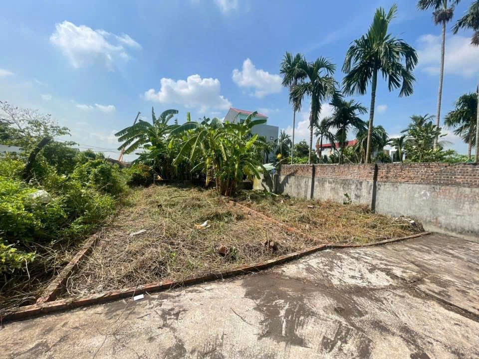 CHÍNH CHỦ GỬI BÁN 2 LÔ ĐẤT LIỀN KỀ – VÙNG LÕI HẢI PHÒNG – SÁT VINHOMES DƯƠNG KINH! CHÍNH CHỦ GỬI BÁN 2 LÔ ĐẤT LIỀN KỀ – VÙNG LÕI HẢI PHÒNG – SÁT VINHOMES DƯƠNG KINH!