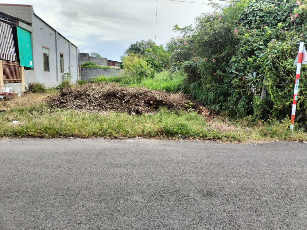 Lô 1 Phước Tân gần thị trấn: 12×25+100tc giá 2ti7 còn TL Lô 1 Phước Tân gần thị trấn: 12×25+100tc giá 2ti7 còn TL