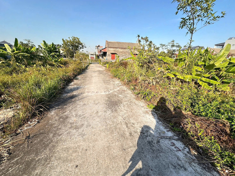 BÁN LÔ ĐẤT ĐẸP – TDP AN TOÀN, HÒA NGHĨA, DƯƠNG KINH – GIÁ CHỈ 7xx TRIỆU! ZALO 0567 222 555 BÁN LÔ ĐẤT ĐẸP – TDP AN TOÀN, HÒA NGHĨA, DƯƠNG KINH – GIÁ CHỈ 7xx TRIỆU! ZALO 0567 222 555