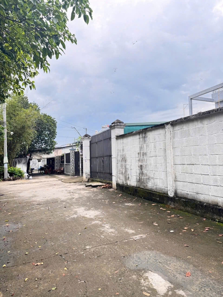 ĐẤT THỔ CƯ (15x28) TRUNG TÂM TÂN HIỆP – HÓC MÔN – GẦN CHỢ, GIÁ CỰC MỀM‼️
