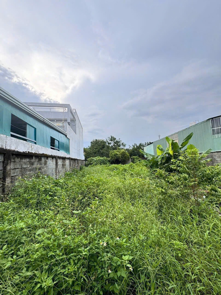 ĐẤT THỔ CƯ (15x28) TRUNG TÂM TÂN HIỆP – HÓC MÔN – GẦN CHỢ, GIÁ CỰC MỀM‼️