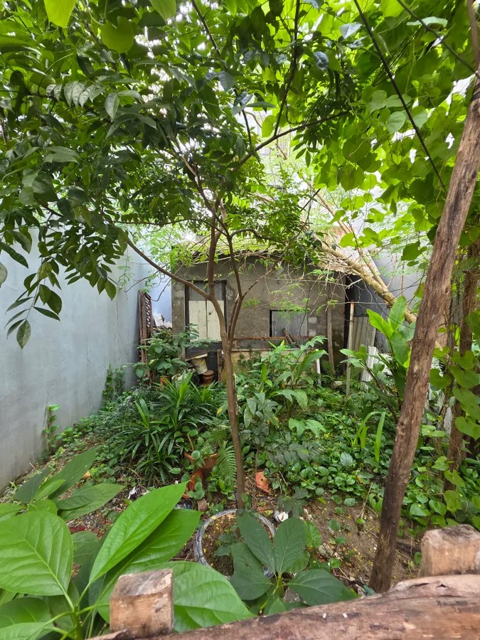 BÁN ĐẤT Tư Đình 56 m2 mặt tiền 4.8 m,10.7 tỷ Long Biên