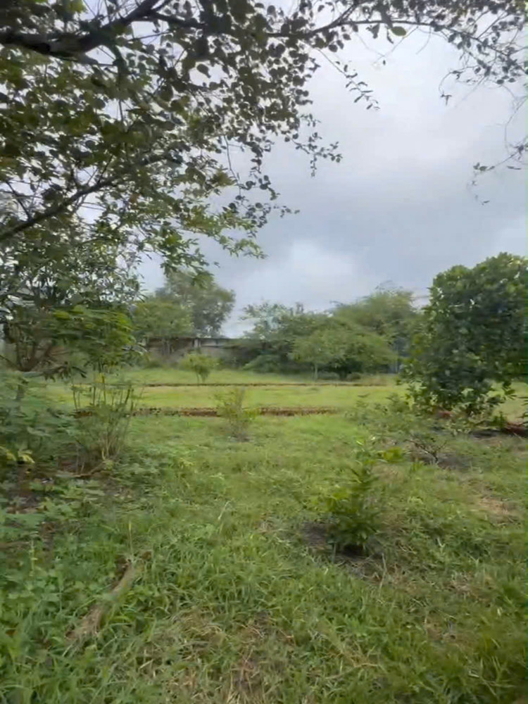 1Ha Đất SHR HXH – Trung Lập Hạ Củ Chi SS