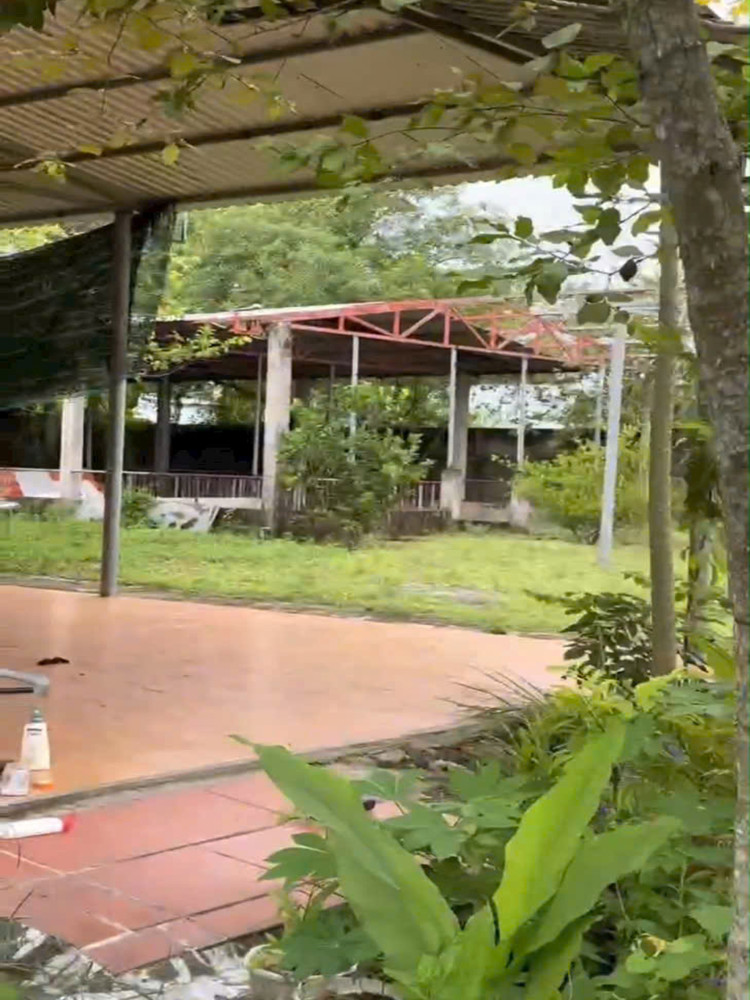 1Ha Đất SHR HXH – Trung Lập Hạ Củ Chi SS