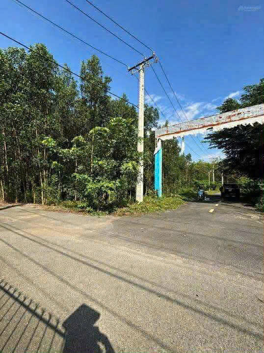 BÁN SIÊU PHẨM ĐẤT VIP NGAY QL51 – XÃ LONG PHƯỚC, LONG THÀNH