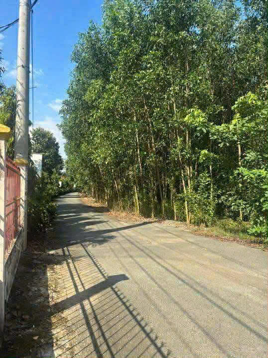 BÁN SIÊU PHẨM ĐẤT VIP NGAY QL51 – XÃ LONG PHƯỚC, LONG THÀNH