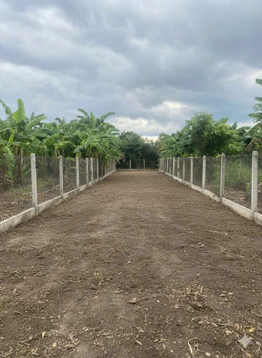 cần bán lô đất Diên an-Diên khánh- Nha Trang Dt:254m có thổ ngang 5m nở hậu 7,6m Đường bê tông 6m