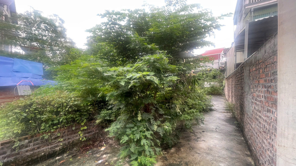 Chính chủ bán 43.8 m2 Trâu Quỳ, ô tô đỗ cửa, giá 7.5 tỷ - Lh 0985865658