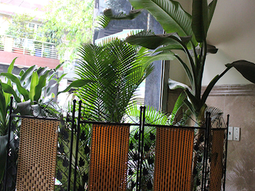 Giảm 1.5 tỷ! Khách sạn 5 tầng 27 phòng 185m2 – Hà Huy Giáp Quận 12