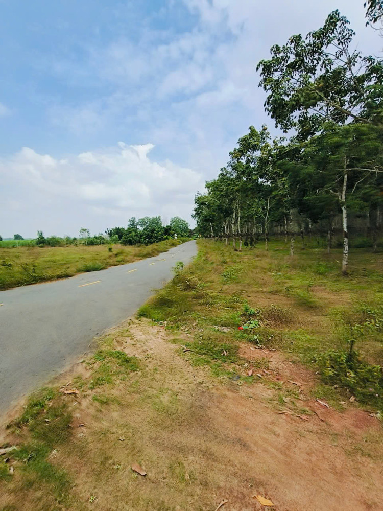 Diện tích 25400m2 đất tại Hoà Bình, Xuyên Mộc , BRVT