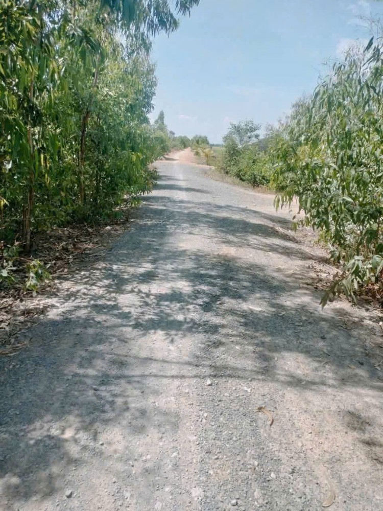 Tôi Chính Chủ Cần Bán 14000m2(1 mẫu 4) Đất Xã Long Thạnh, Thủ Thừa, Long An