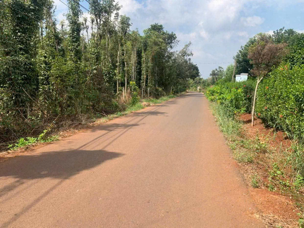 Đất ở đường số 1 lạc long quân,1992mv  co 300 thổ cư, ngãi giao