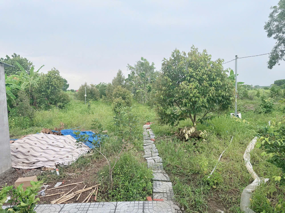 Nhà vườn 2000mv trái cây sẳn mt nhựa giá 4ty5 thương lượng