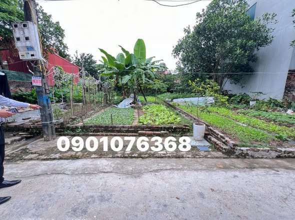 MẢNH ĐẤT TIÊU ĐẸP 76M OTO VÀO TẬN ĐẤT NGAY QL 32 TẠI NGỌC TẢO _ PHÚC THỌ - HÀ NỘI