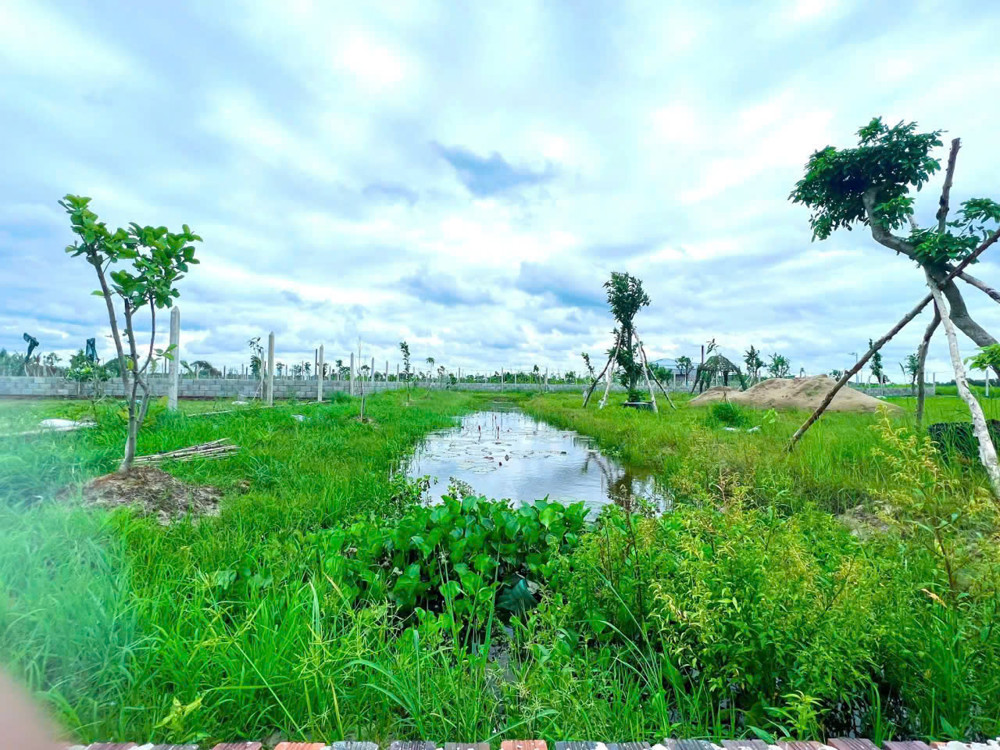 * BÁN ĐẤT NGHỈ DƯỠNG TRUNG TÂM GÒ DẦU – CƠ HỘI ĐẦU TƯ SINH LỜI TẠI TÂY NINH