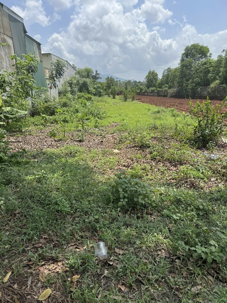 BÁN 2716M ĐẤT MẶT TIỀN QUỐC LỘ 56 XÃ HÒA LONG BRVT GIÁ 28 TỶ