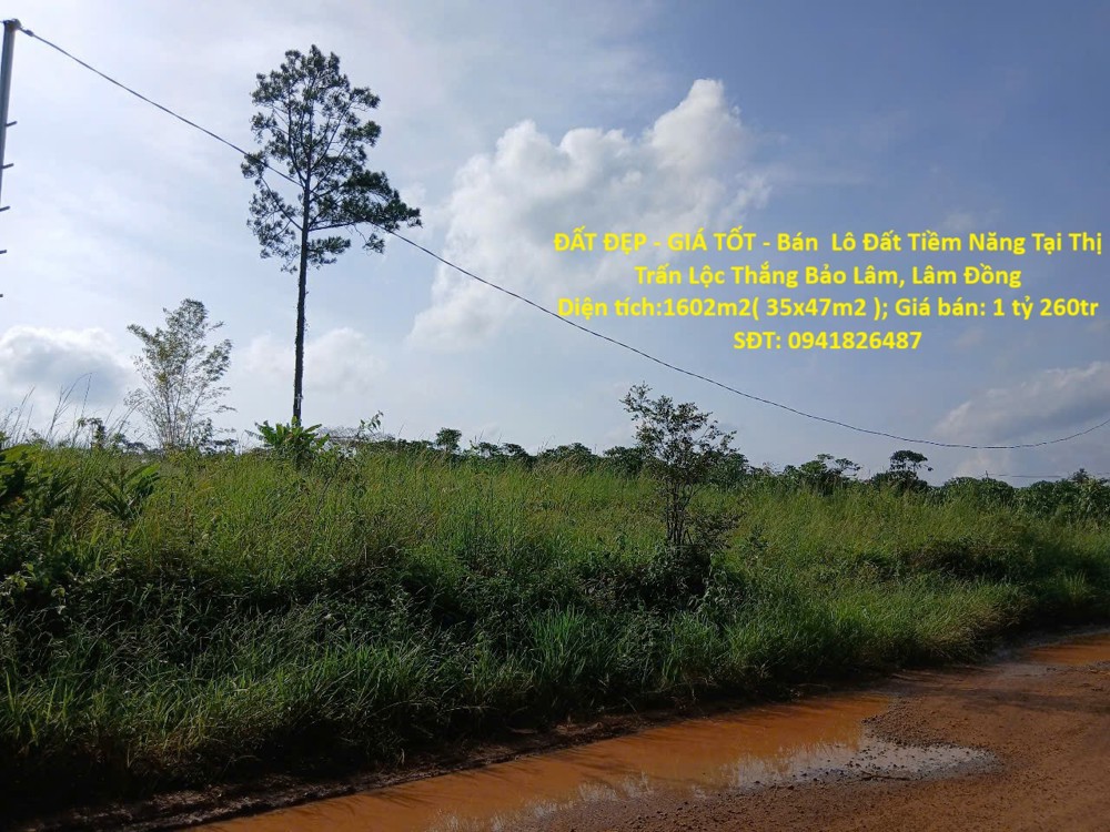 ĐẤT ĐẸP - GIÁ TỐT - Bán  Lô Đất Tiềm Năng Tại Thị Trấn Lộc Thắng Bảo Lâm, Lâm Đồng