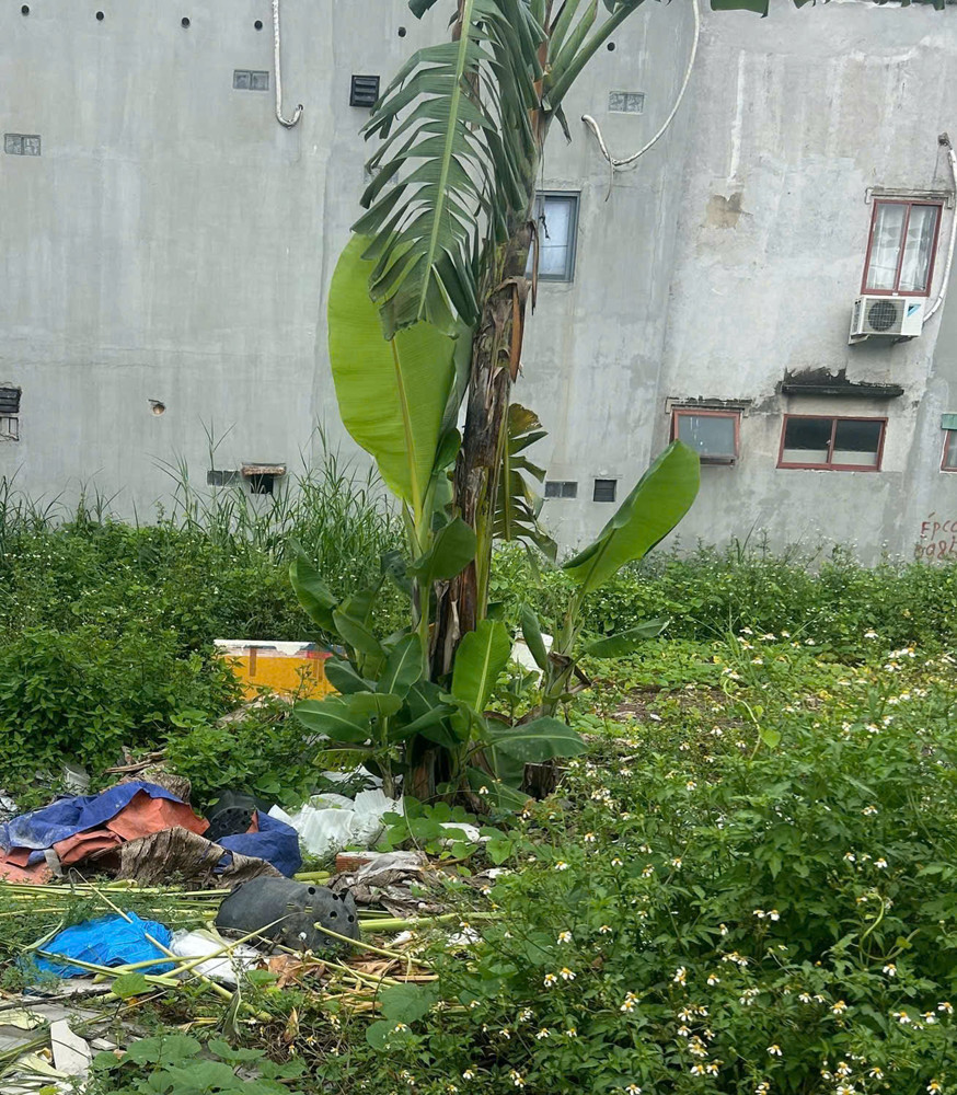 ❤️BÁN ĐẤT THỔ CƯ GẦN 140 m2 NGAY CHỢ CẦU ĐỒNG NGÃ 4 GA Q.12 SÁT GÒ VẤP - HẺM XE HƠI 6M- CHỈ 6.X TỶ!