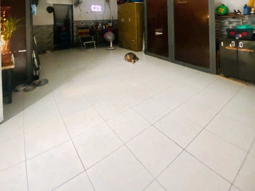 Đất Vuông Mặt tiền SHR 760m2 – Điện Biên Phủ Quận 3 SS