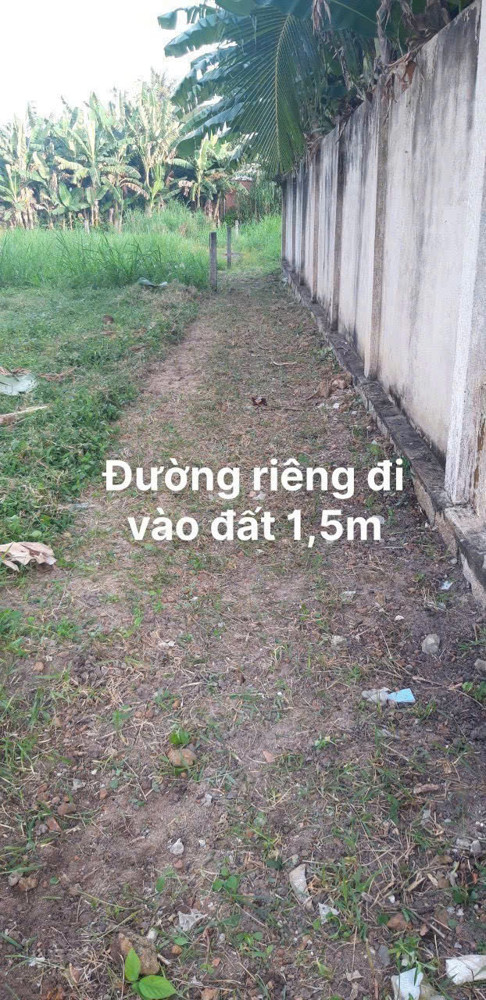 Có lô đất ở Tam Phước, Long Điền như sau:
🍀 DT: 338mv, sẵn 50tc, còn lại cây LN