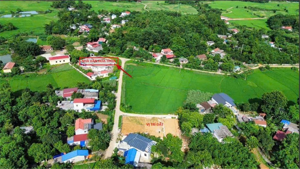 Cần BÁN GẤP 123,9M2 ĐẤT CHÍNH CHỦ - Chỉ 590 Triệu Tại Thanh Sơn, Lương Sơn, Hòa Bình