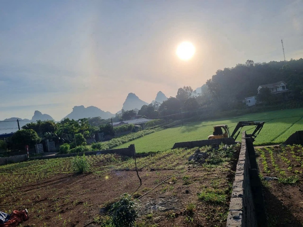 Cần BÁN GẤP 123,9M2 ĐẤT CHÍNH CHỦ - Chỉ 590 Triệu Tại Thanh Sơn, Lương Sơn, Hòa Bình