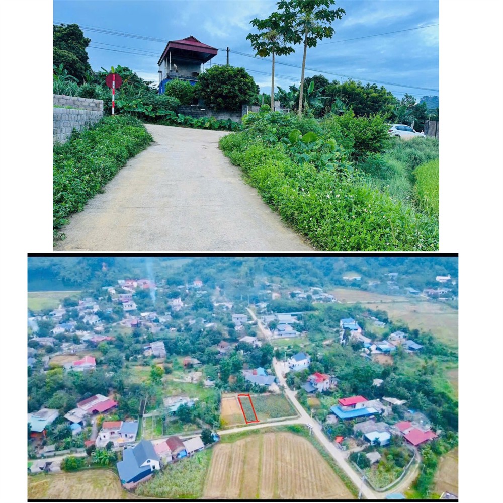 Cần BÁN GẤP 123,9M2 ĐẤT CHÍNH CHỦ - Chỉ 590 Triệu Tại Thanh Sơn, Lương Sơn, Hòa Bình