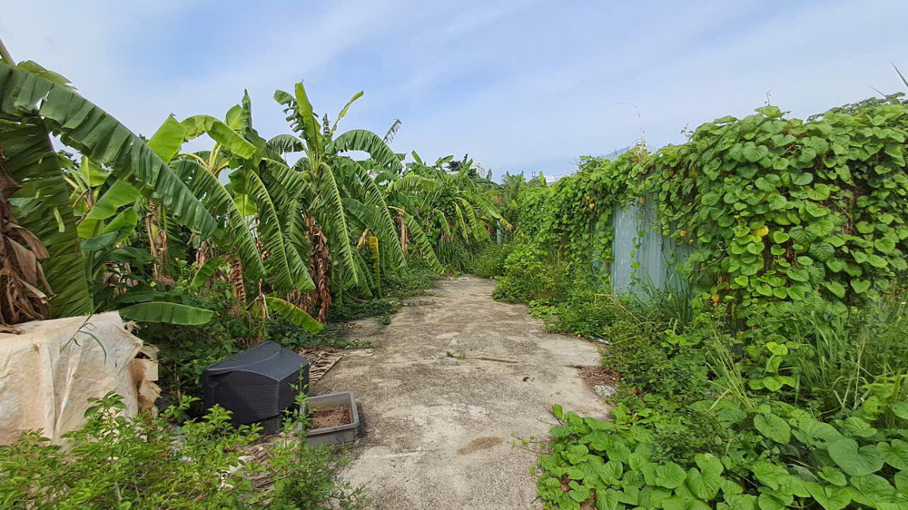 Bán 2 Lô Đất Liền Kề Đường số 40 Hiệp Bình Chánh Thành Phố Thủ Đức