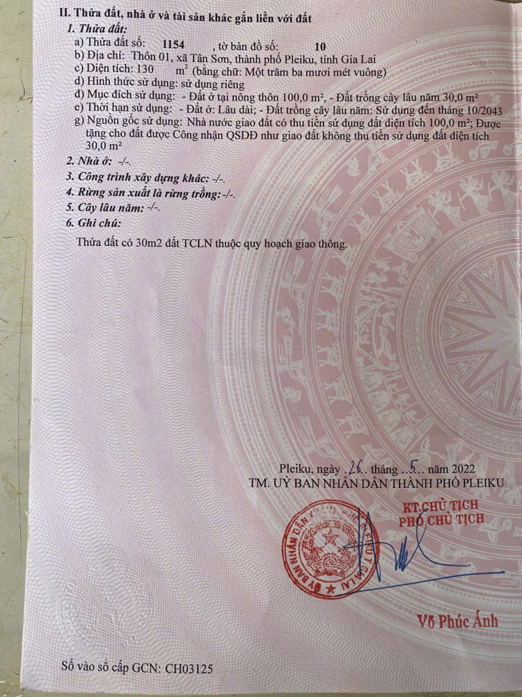 CHÍNH CHỦ BÁN ĐẤT ĐƯỜNG ĐÀO DUY TỪ, TÂN SƠN, PLEIKU, GIA LAI