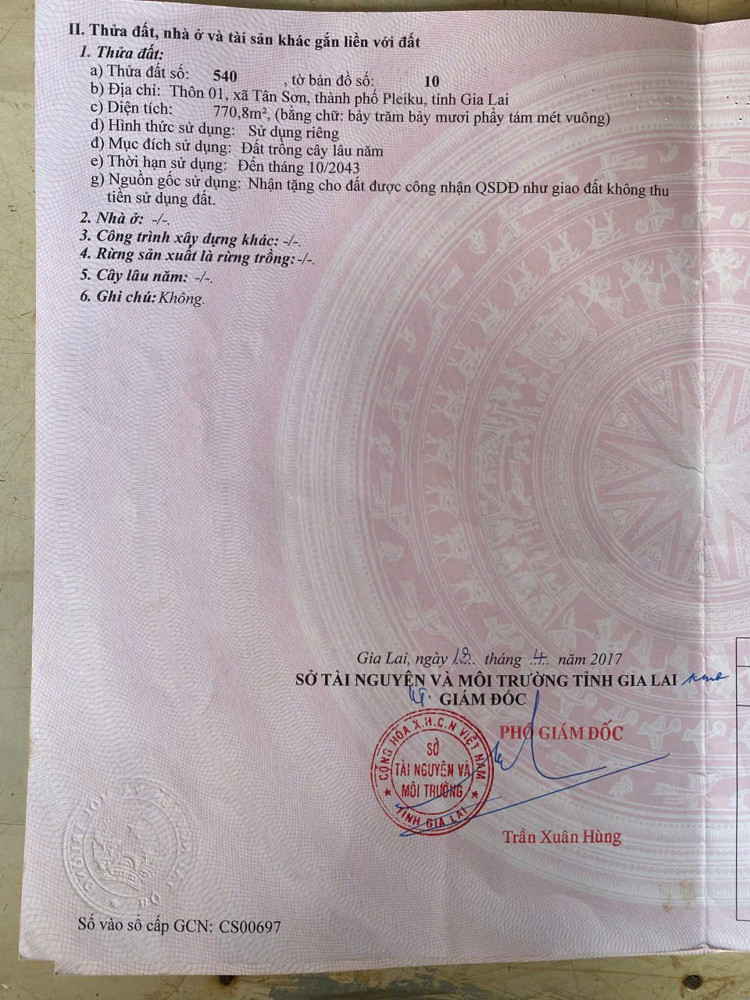 CHÍNH CHỦ BÁN ĐẤT ĐƯỜNG ĐÀO DUY TỪ, TÂN SƠN, PLEIKU, GIA LAI