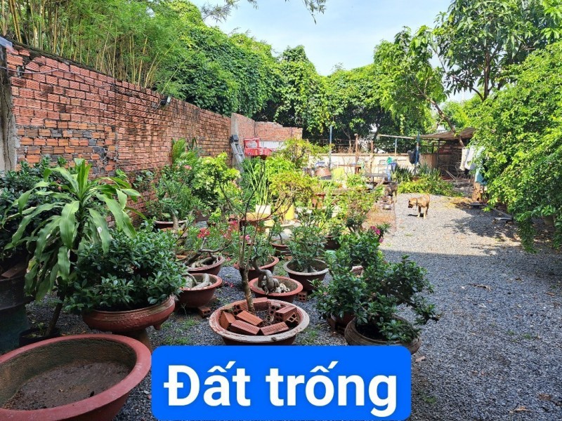 Mặt tiền Đặng Văn Bi, Thủ Đức, Gần Metro Thủ Đức, 440m2 -  Giá thương lượng