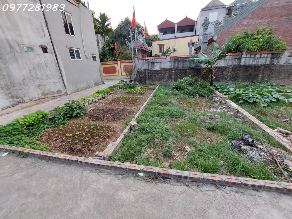 🏠 Đức Thượng – đất 20m ra trục chính, gần chợ, gần VĐ4