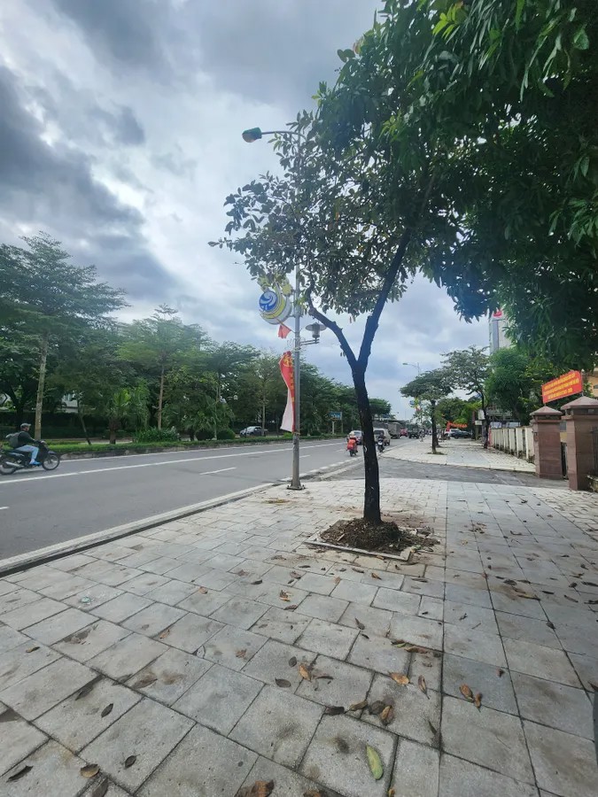 Bán Liền Kề Thô KĐT Lê Trọng Tấn 115mx4 tầng, vỉa hè, ô tô tránh, đầu tư, kinh doanh 21 tỷ