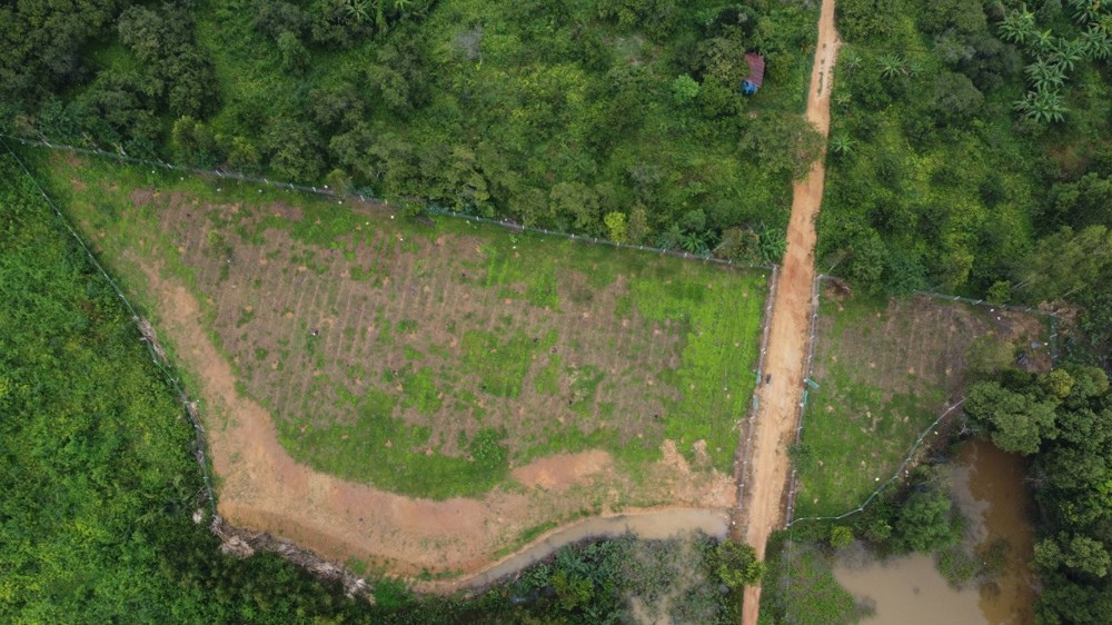 Đất Vườn Nghỉ Dưỡng View Hồ Trị An Xã Thanh Sơn Định Quán Đồng Nai