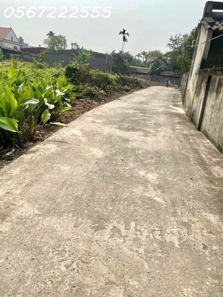 ĐẤT RẺ DƯỚI 1 TỶ – VĂN HÒA HỮU BẰNG, KIẾN THỤY – 95,5M² ĐƯỜNG Ô TÔ  ZALO 0567 222 555