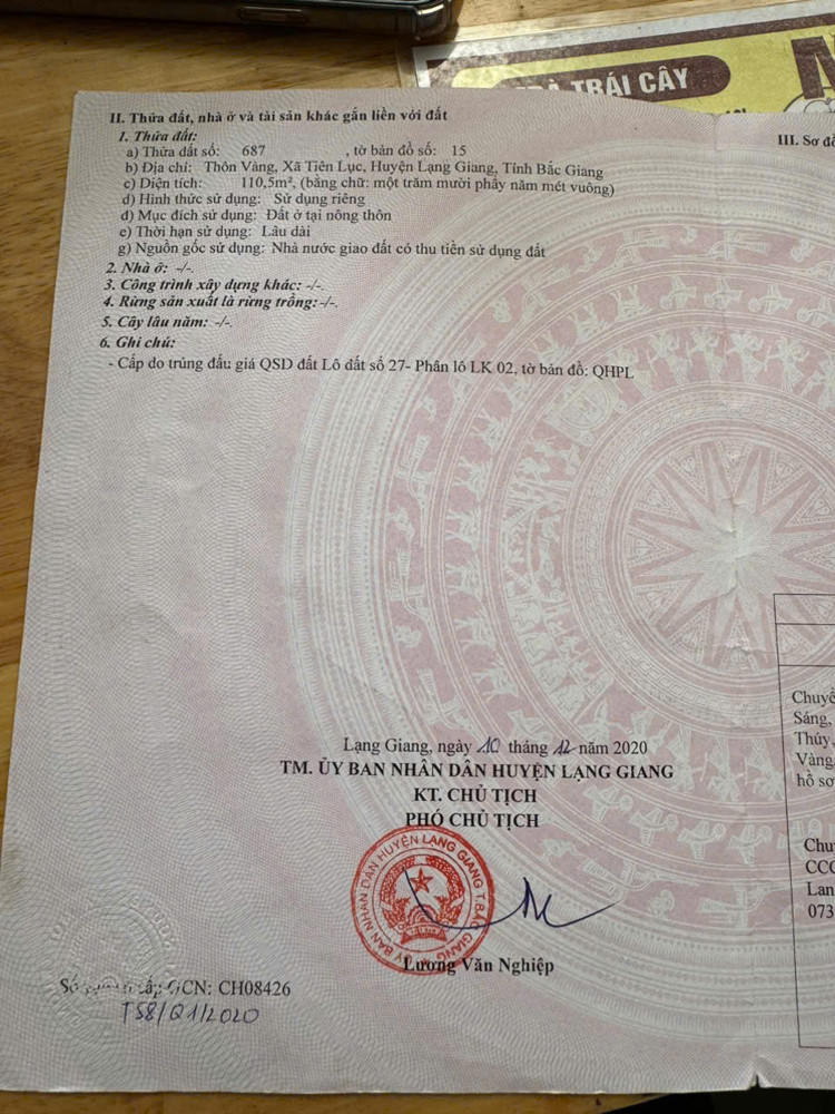 CHÍNH CHỦ BÁN NHANH LÔ ĐẤT ĐẤU GIÁ - XÃ TIÊN LỤC, LẠNG GIANG, BẮC GIANG