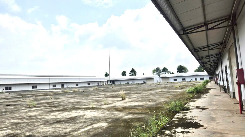 Bán xưởng 40.000m2 SKC huyện Trảng Bom, Đồng Nai giá chỉ 65 tỷ ~~1,6Tr/m2