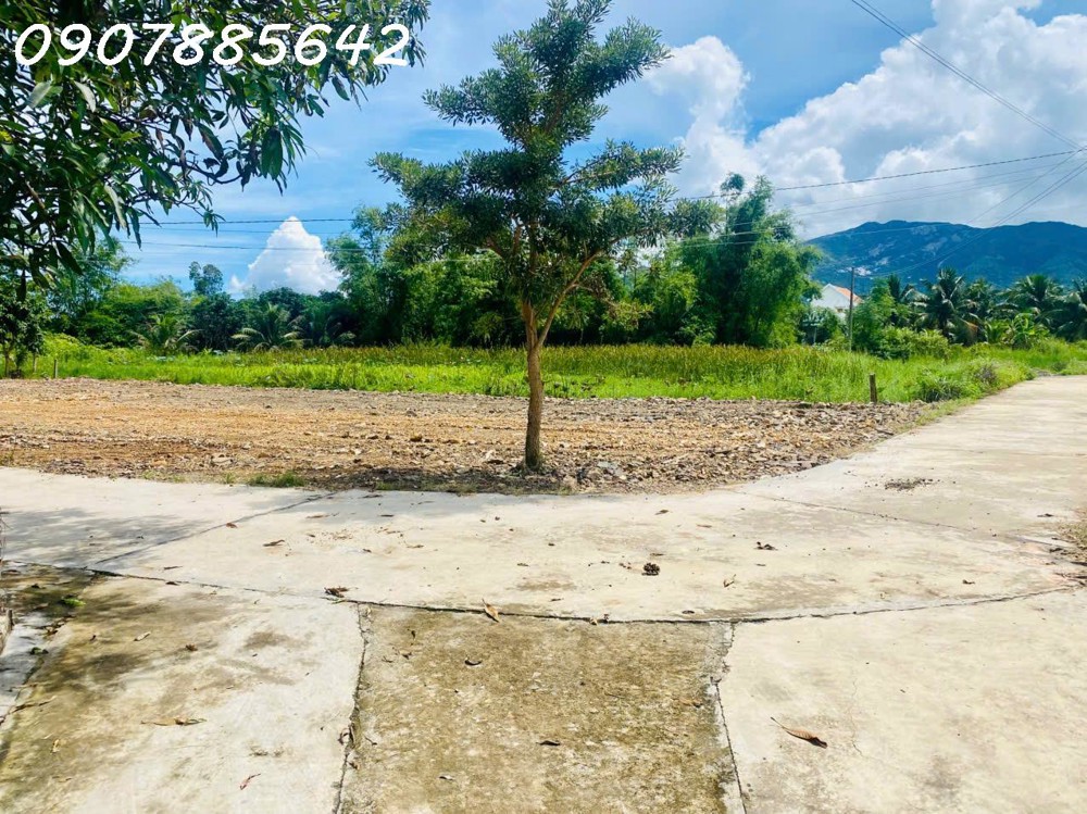 MỞ BÁN ĐẤT NỀN PHÂN LÔ TẠI KHÁNH HOÀ GIÁ ĐẦU TƯ