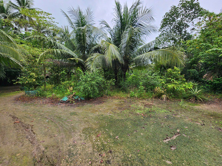 ĐẤT ĐẸP – GIÁ TỐT  – CHÍNH CHỦ CẦN BÁN tại ấp An Định Cầu, xã An Trường, Càng Long, Trà Vinh cũ