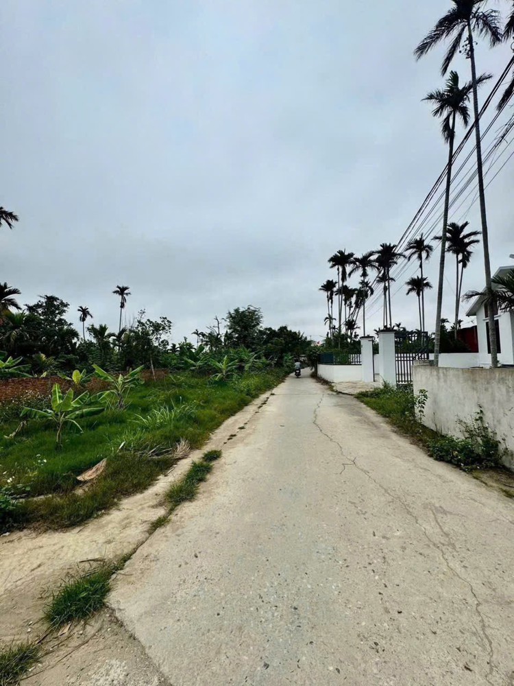 SIÊU PHẨM đất Hòa Nghĩa giá chỉ 8xx triệu – ngõ ô tô, vị trí vàng trung tâm! ZALO 0567 222 555