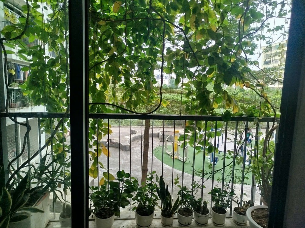 CĂN HỘ ĐẸP - GIÁ TỐT CHÍNH CHỦ CẦN BÁN NHANH CĂN Chung Cư NEWTATCO LAI XÁ, HOÀI ĐỨC