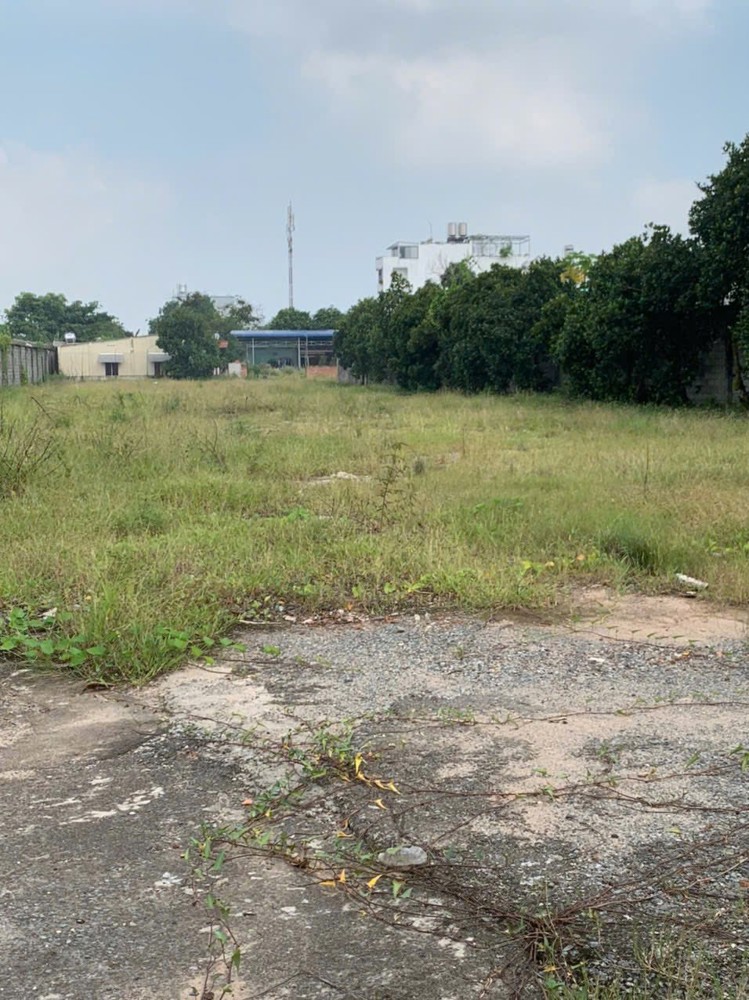 Bán đất 10.000m2 ngang 39m giá 190 tỷ Đường Tô Ký 12