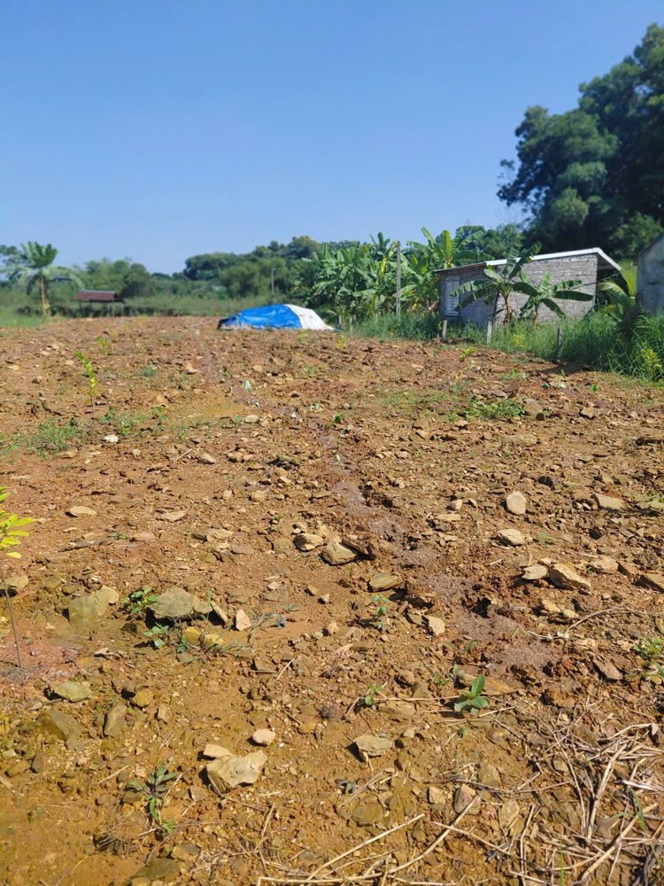 ĐẤT ĐẸP -  GIÁ TỐT  - CẦN BÁN LÔ ĐẤT Khai Hoang Khoảng 2 Mẫu Tại Ba Trại, Ba Vì, Hà Nội