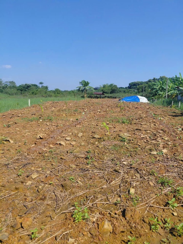 ĐẤT ĐẸP -  GIÁ TỐT  - CẦN BÁN LÔ ĐẤT Khai Hoang Khoảng 2 Mẫu Tại Ba Trại, Ba Vì, Hà Nội