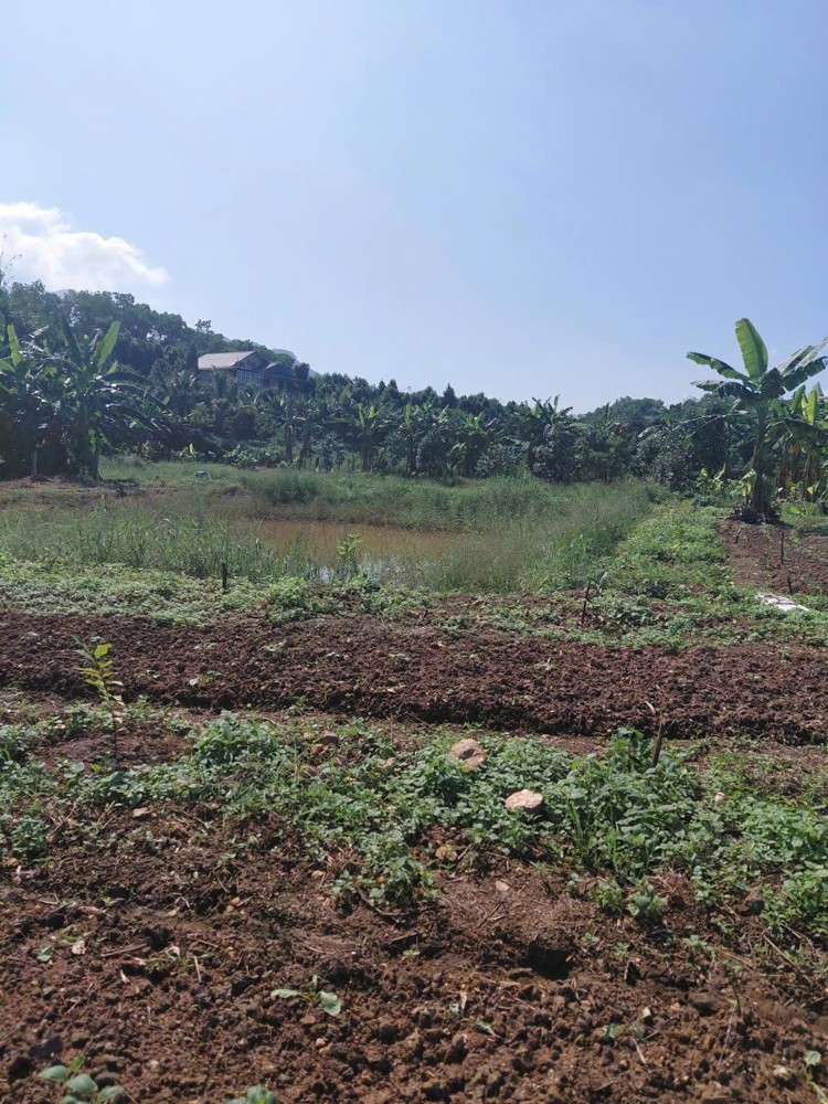 ĐẤT ĐẸP -  GIÁ TỐT  - CẦN BÁN LÔ ĐẤT Khai Hoang Khoảng 2 Mẫu Tại Ba Trại, Ba Vì, Hà Nội