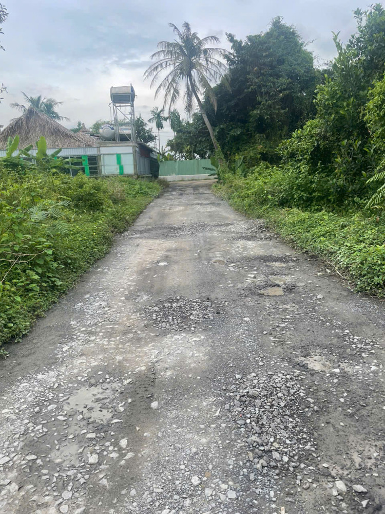 LÔ ĐẤT GÓC 2MT NHỊ BÌNH (ĐÔNG THẠNH), HÓC MÔN GẦN SÔNG SG, PHÀ AN SƠN CHỈ 14,5 TỶ